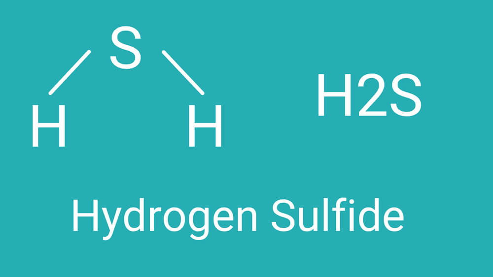 Hydrogen Sulfide (H2S)